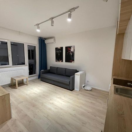 Amethyst Luxury Apartment Palace Бухарест Экстерьер фото